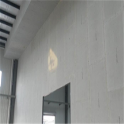 金湖宁波ALC板|EPS加气板隔墙与混凝土整浇联接的实验研讨